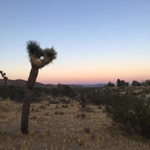 Meet your Posher, Guzel